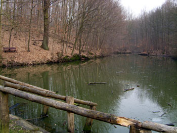 Bild "Hotel:umgebung02.jpg"