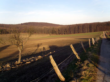 Bild "Hotel:umgebung04.jpg"